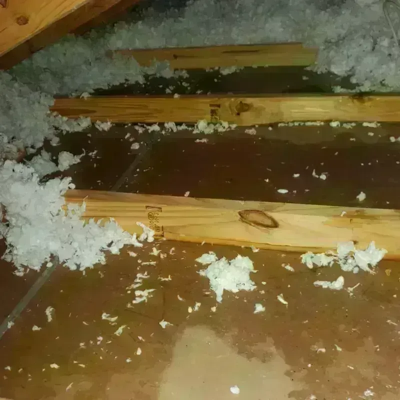 Attic Water Damage in Universal City, TX