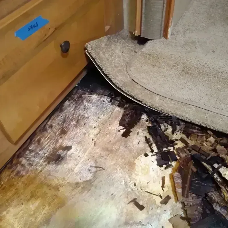 Best Wood Floor Water Damage Service in Universal City, TX